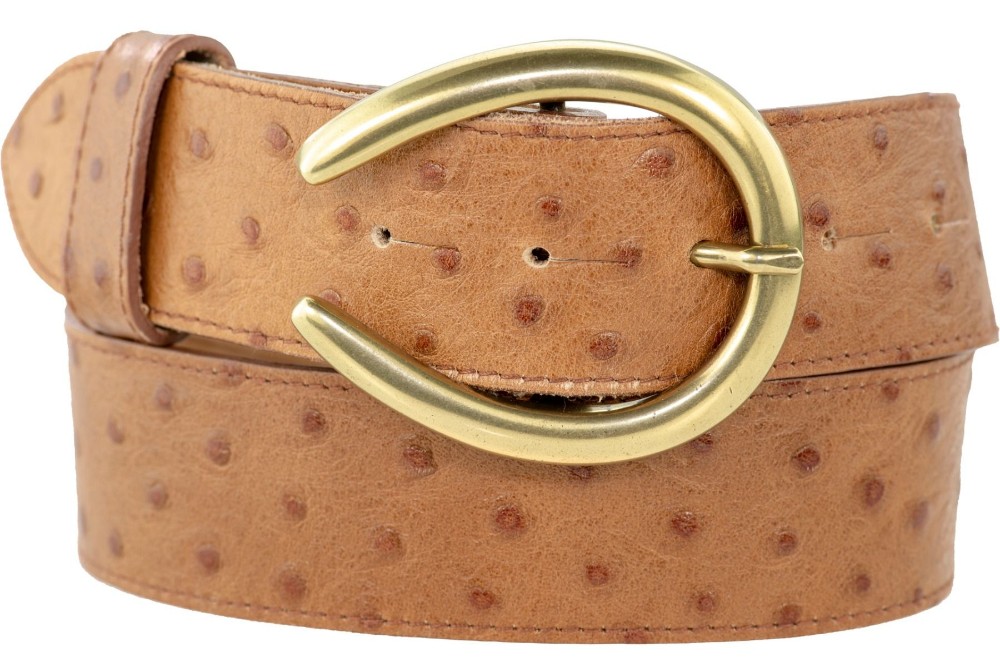 Gold Horseshoe Buckle - Image 3